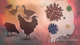 '해외 급증' 조류인플루엔자 철새와 오지 않게…선제 방역 강화