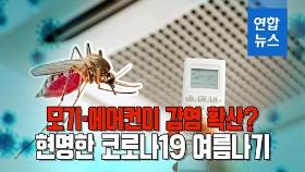 [포토무비] 모기·에어컨 감염 확산?…현명한 코로나19 여름나기