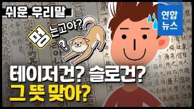 [쉬운 우리말] '테이저건', '스모킹건' 이게 다 무슨 뜻이죠?