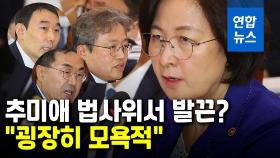 [영상] 추미애 