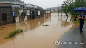 밤사이 강한 비바람에 잠기고 쓰러지고…전국서 피해 속출