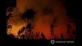 인도네시아 산불 또 시작…보르네오섬 중부 비상사태 선포