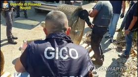 IS가 만든 '지하드 마약' 이탈리아서 대량압수…1조3천억원어치