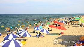경북 동해안 해수욕장 안심밴드 착용 의무화