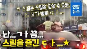[영상] 쌩쌩 달리는 차 위에 앉은 '무법자 쌍둥이'?