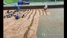유충 발견된 강릉시 연곡정수장에 '방충망' 설치