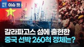 [이슈 컷] 갈라파고스 섬에 출현한 중국 선박 260척 정체는?