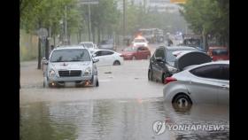 '차량이 둥둥'…폭우로 물바다 된 도로서 차주들 '망연자실'