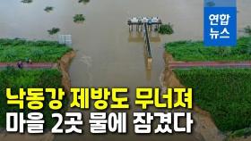 [영상] 폭우에 무너진 낙동강 제방 현장…마을 2곳도 물에 잠겼다