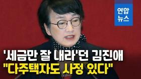 [영상] 주택 3채 신고한 김진애 의원 