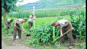 북한, 군 긴급동원해 밤샘 수해복구…코로나 방역도 연일 강화