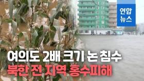 [영상] 홍수 피해는 북한 전역도 마찬가지…'여의도 2배 크기' 논 침수