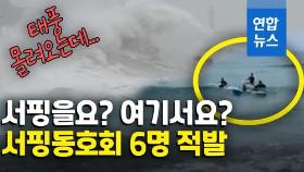 [영상] '간 큰 사람들'…태풍주의보에도 서핑은 포기 못해
