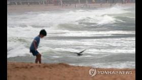 초고속 태풍 장미 진로 놓인 부산 별다른 피해 없어