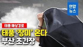 [영상] 태풍 '장미' 예상 경로는 서귀포→부산→울릉도