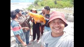 인도네시아 토바호수 15㎏ 금붕어 잡혀…
