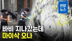 [영상] '바비'가 지나간 자리…9호 태풍 '마이삭' 오나