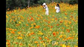 태풍 '하이선' 접근하며 전국 차차 흐려져…남부지방 비