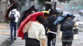[내일날씨] 태풍 '하이선' 영향 강한 비바람…폭풍해일도 발생