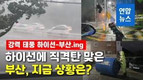 [영상] 해운대 고층 아파트 '흔들'…부산 강타한 하이선의 위력