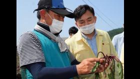 최장 장마 견디니 이번엔 잦은 태풍…제주 월동작물 유실·침수