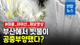 [영상] 부산에서 빗물이 공중부양?…제보영상으로 본 태풍 하이선
