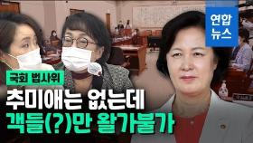 [영상] 추미애 없는 법사위서 추미애 공방전…김진애 