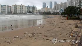 부산 해안가 각종 쓰레기로 아수라장…갈맷길도 곳곳 생채기