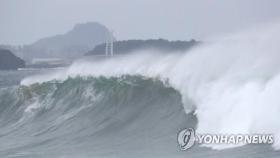 태풍 하이선 제주 스쳐 이동해도 340㎜ 폭우에 초속 29ｍ 강풍