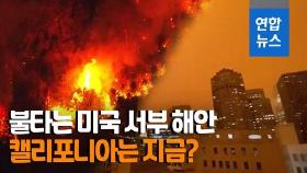[영상] 서울 면적 14배 불탔다…'오렌지 세상'으로 변한 캘리포니아