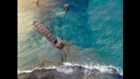 모리셔스 기름유출 선박 日용선업체, 110억원대 지원책 발표