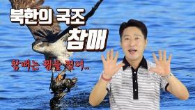 [연통TV] 북한이 나라 새 '참매'를 부각하는 이유는?