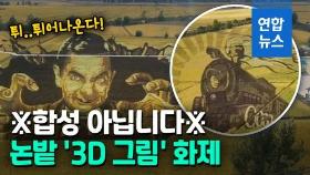 [영상] '논밭이 미술관'…중국 선양 논밭에 그려진 3D 그림 화제