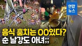 [영상] '냄새 맡고 왔어요'…호주 바비큐 파티장 습격한 게 떼들