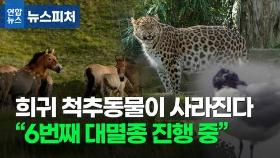 [뉴스피처] 너무 빨리 사라지는 척추동물…