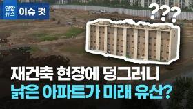 [이슈 컷] 흉물 아파트가 미래 유산?…강남 재건축 둘러싼 논란 가열