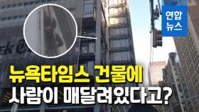 [영상] 뉴욕타임스 건물 외벽에 사람이?…6층까지 오르다 철창신세