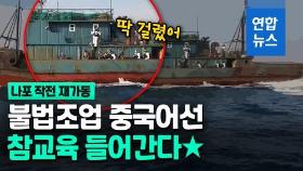 [영상] 서해상에 출몰한 불법 중국어선…영화같은 나포 작전