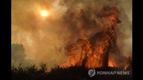 '악마의 바람'에 산불 확산…미 한인 거주지 7만명 대피령(종합)