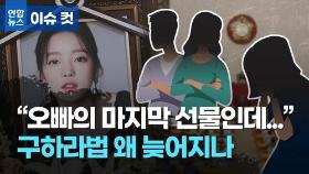 [이슈 컷] 제2, 제3 피해자 쏟아지는데… 구하라법은 언제 나오나