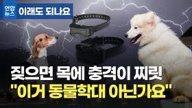 [이래도 되나요] 멍멍! 짖으면 목에 충격이 찌릿…동물학대 논란 가열