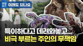 [이래도 되나요] 아프리카 뱀이 제주도에?…외래종 유기에 몸살 앓는 생태계