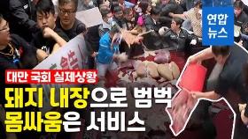 [영상] 돼지 내장 뿌리고 육탄전…난장판 된 대만 국회