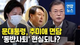 [영상] 추미애, 문대통령도 만났다…'추-윤 동반사퇴' 가닥 잡히나