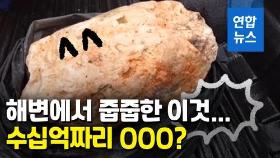 [영상] 해변서 주운 100kg 흰 덩어리…알고 보니 바다의 로또