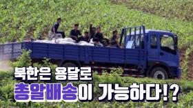 [연통TV] 북한 '트럭 택배'도 로켓 배송만큼 빠르다?