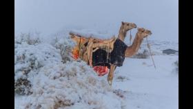 사하라 사막에 눈 쌓이고 사우디는 영하 2도…곳곳에서 이상기후