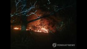 한밤중 서울 노원구 수락산 화재…산림 0.03ha 소실