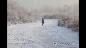 봉화 석포 11㎝ 눈…경북 일부 시·군 대설주의보