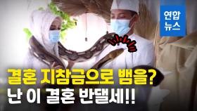 [영상] 파충류 동호회서 만난 커플, 뱀 주고받은 오싹한 결혼식